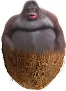 Monke